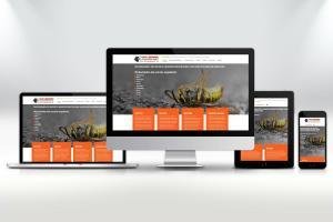 Website ontwerp en zoekmachine optimalisatie website Van Leeuwen Ongediertebestrijding