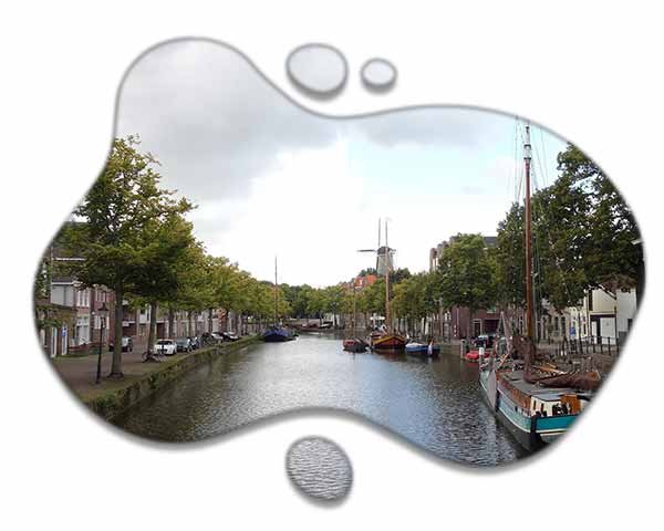 Website laten maken in Schiedam? 2B Media Webdesign en Zoekmachine optimalisatie regelt het allemaal.