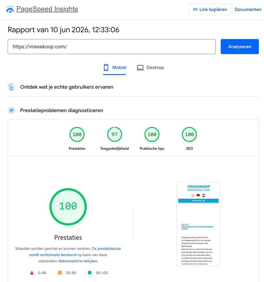 PageSpeed Insights scores vriesekoop.com juni 2026 – Mobiel: Prestaties 100, Toegankelijkheid 97, Praktische tips 100, SEO 100